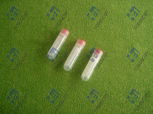 2ml Freezing Tube
