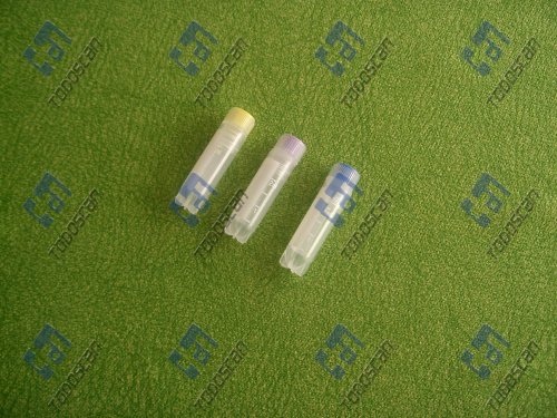 2ml Freezing Tube