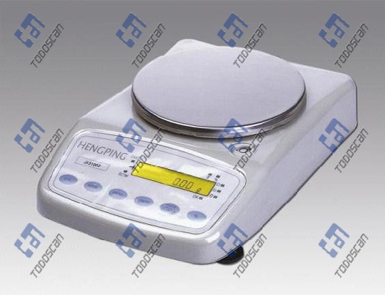 Electronic Precision Balance