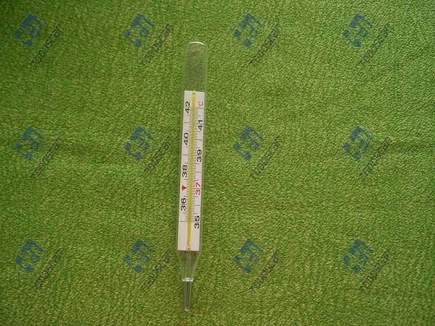 Armpit Mercury Thermometer