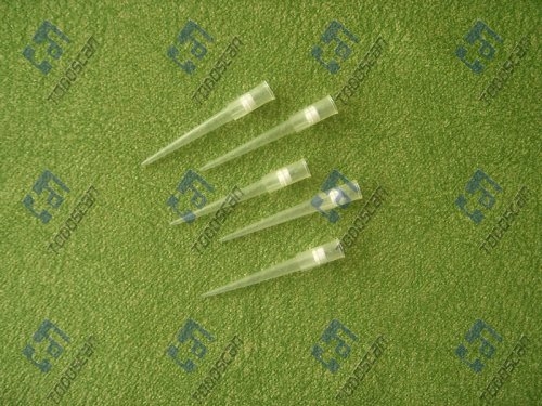 Filter Tip 200ul