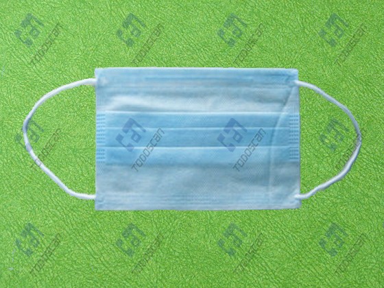 2 Ply Nonwoven Face Mask (blue)