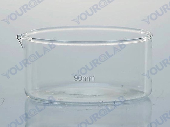 Crystallizing Dish with spout