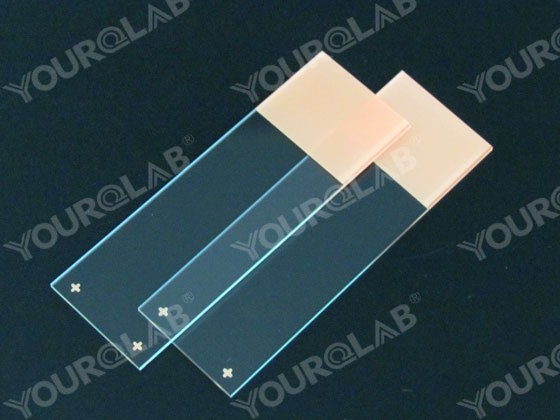 Glass Slide Polished Edges