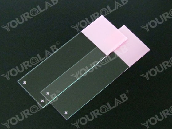 Glass Slide Polished Edges