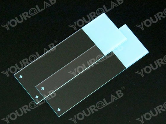 Glass Slide Polished Edges