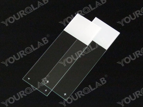 Glass Slide Polished Edges