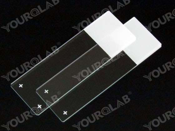 Glass Slide Polished Edges