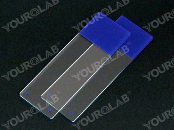 Glass Slide Polished Edges