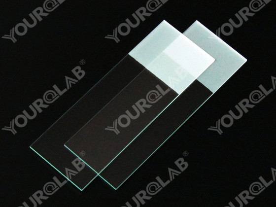 Glass Slide Polished Edges