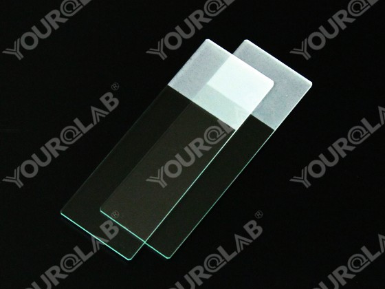 Glass Slide Polished Edges