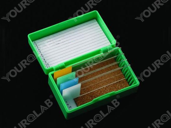 Microscope Slide Box 12