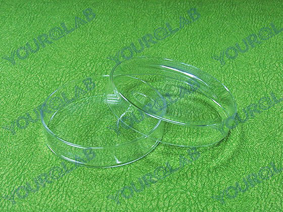 Glass Petri Dish