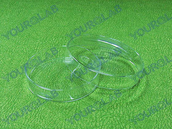 Glass Petri Dish